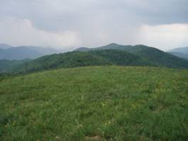 P6140261