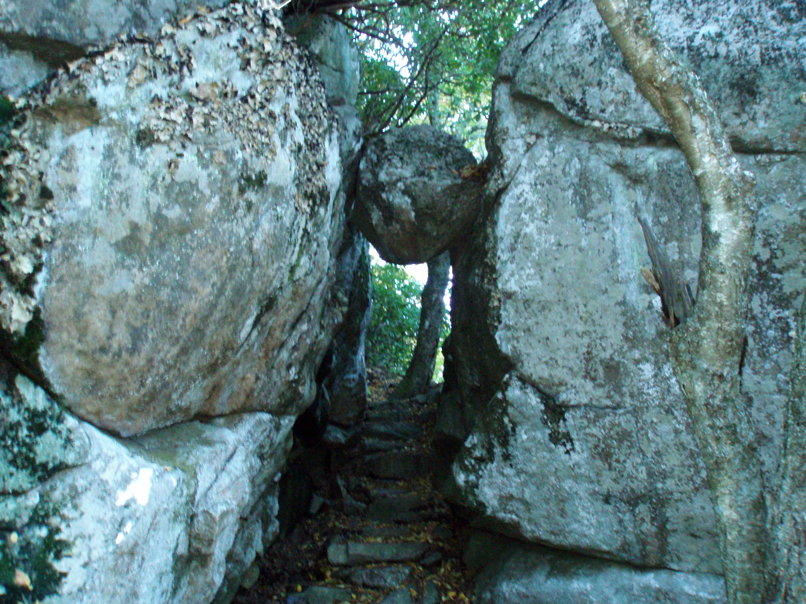 PA090043