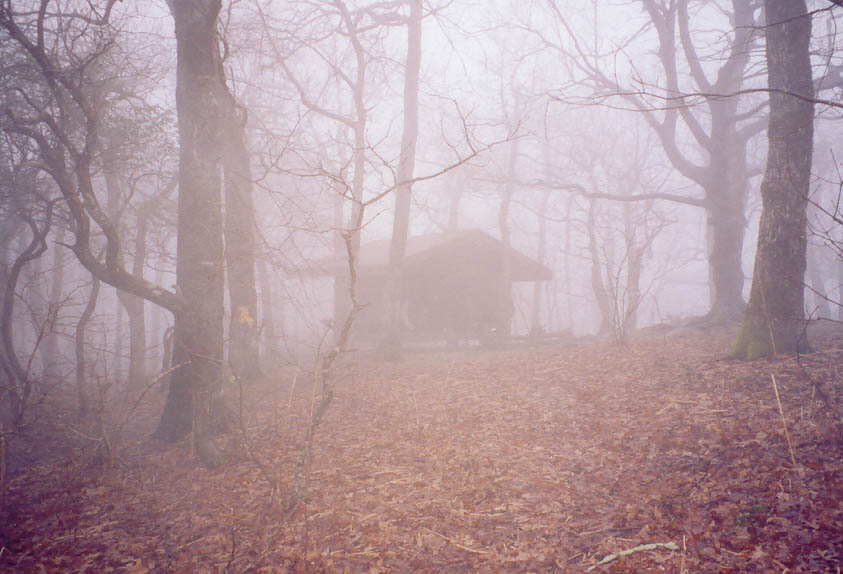 image001