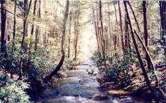 blood mountain