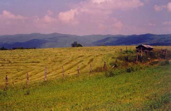fields and mountains near TN 91