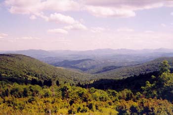 view from near the mt rogers summit