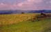 fields and mountains near TN 91
