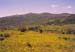 open country near Mt. Rogers reminded us of Colorado